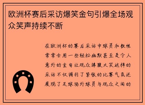 欧洲杯赛后采访爆笑金句引爆全场观众笑声持续不断
