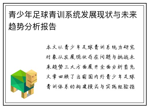 青少年足球青训系统发展现状与未来趋势分析报告